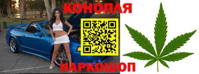 apvp Обнинск