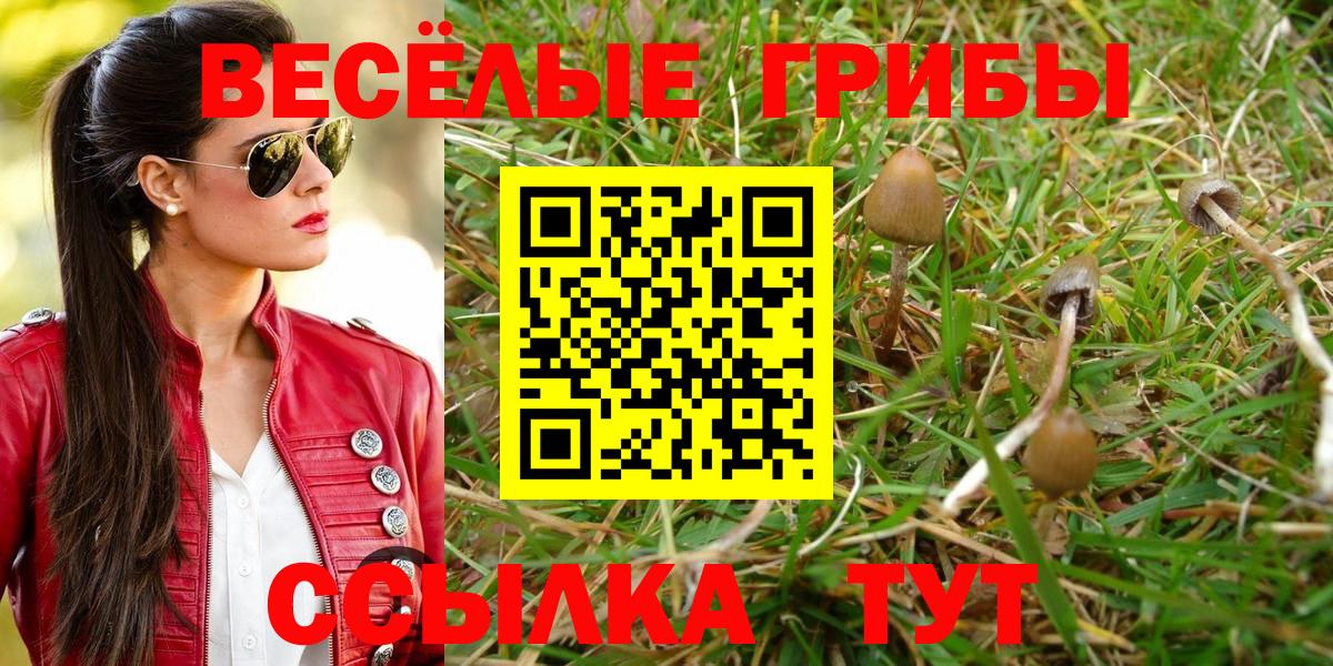 Заречный  Галлюциногенные грибы GOLDEN TEACHER  Вход с VPN 