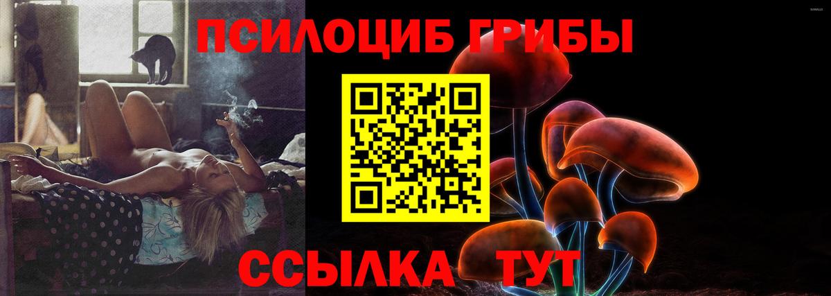 Псилоцибиновые грибы MAGIC MUSHROOMS Заречный