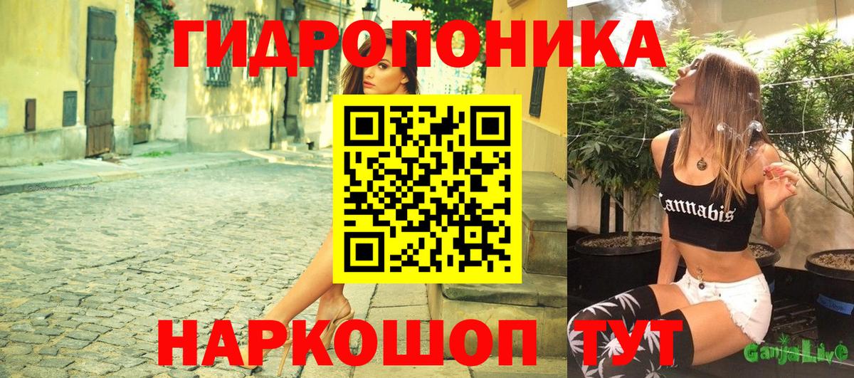 Канабис конопля Заречный